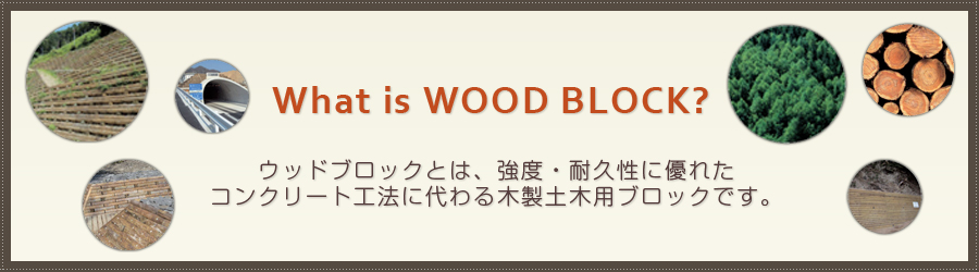 What is WOOD BLOCK?@EbhubNƂ́AxEϋvɗDꂽRN[gH@ɑؐyؗpubNłB