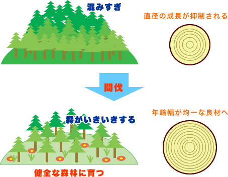 図02