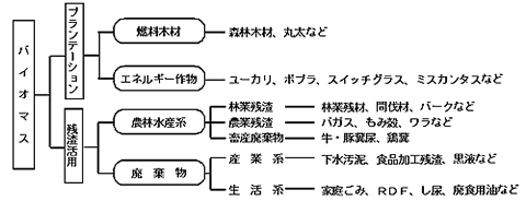 バイオマスの種類
