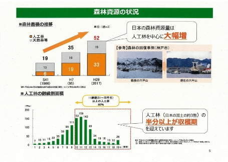 森林資源の状況