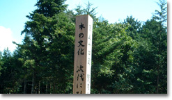写真9