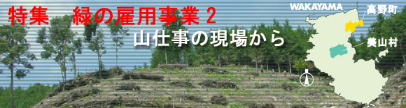 WF΂̌ٗp2