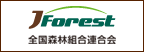 JForest@SXёgA